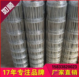 厂家供应经纬网片 镀锌经纬网片 矿用铁丝经纬网片 山西煤矿支护网片