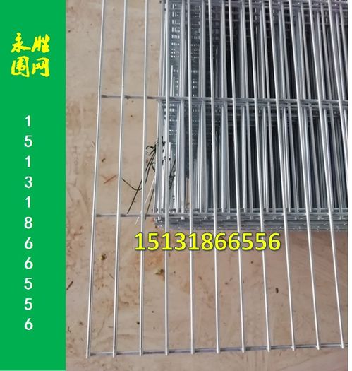 加密孔鸽棚镀锌围网 河北永胜丝网制品厂