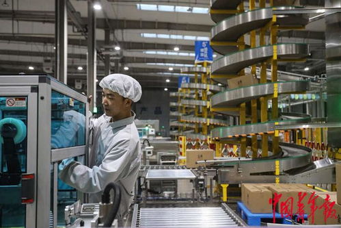 高质量发展助力年轻人在家门口就业