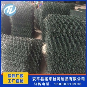 公司介绍