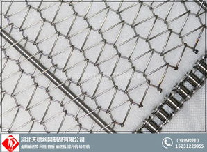 海南隔板提升网带 加厚板输送带 有实体
