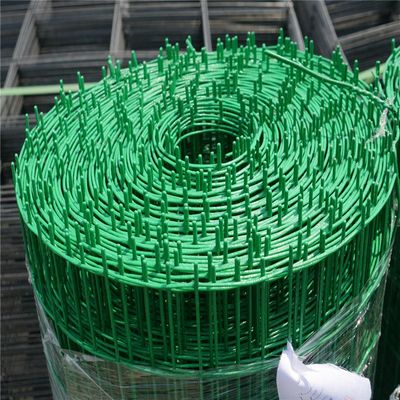 【出售养殖荷兰网